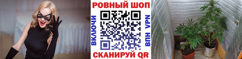 Сколько стоит Йошкар-Ола COCAIN Марихуана MDMA ГАШИШ Меф