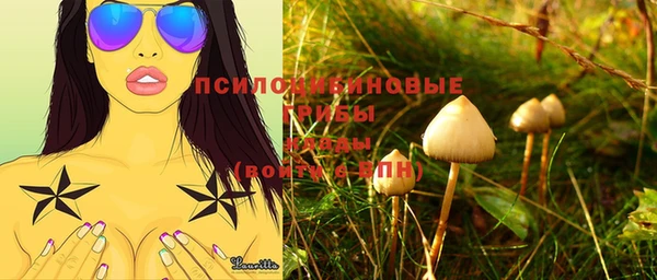 2c-b Липки