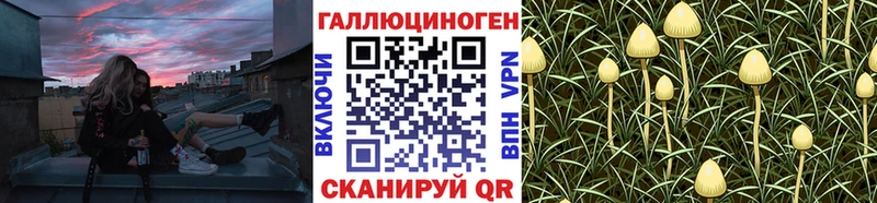 Псилоцибиновые грибы Cubensis Йошкар-Ола