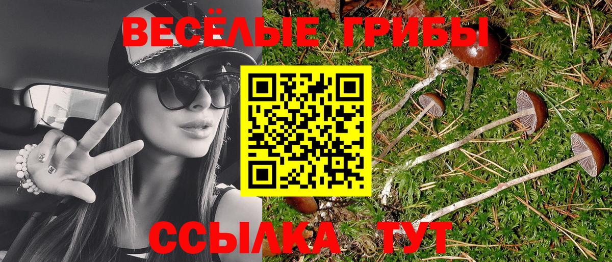 Псилоцибиновые грибы Psilocybine cubensis Йошкар-Ола