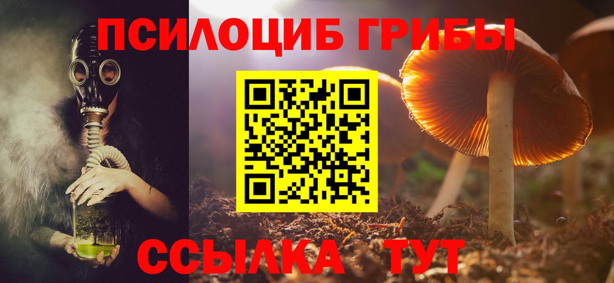 Псилоцибиновые грибы GOLDEN TEACHER  сколько стоит  Йошкар-Ола  Вход с VPN 