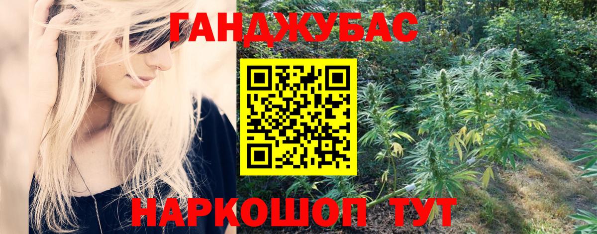 Канабис сатива Йошкар-Ола